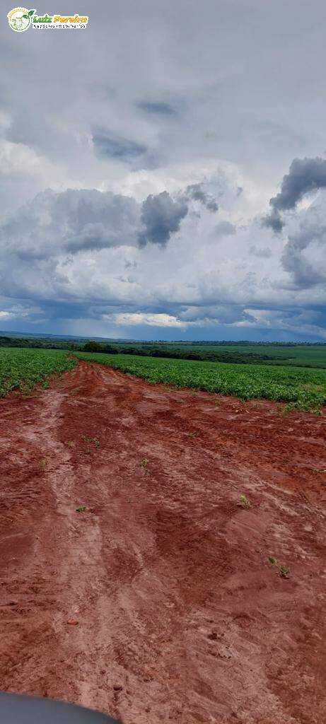 Fazenda à venda, 6000000m² - Foto 18