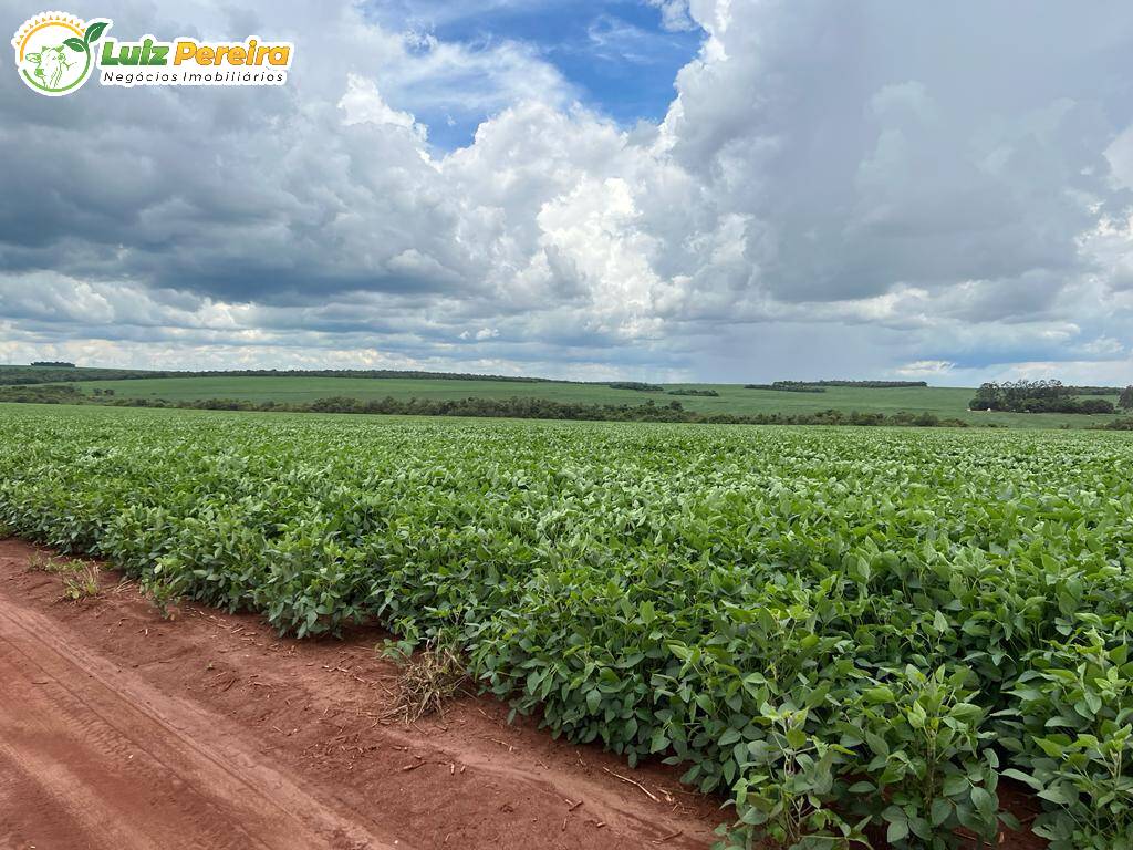 Fazenda à venda, 6000000m² - Foto 12