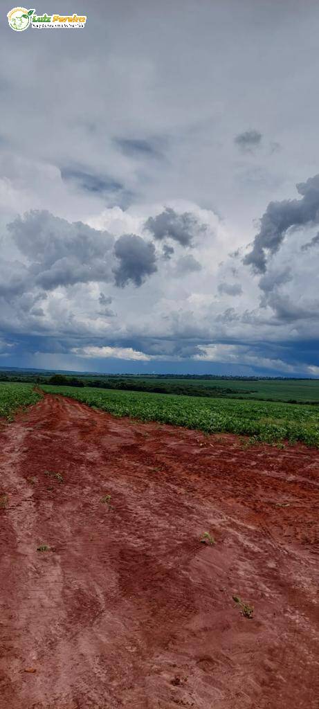 Fazenda à venda, 6000000m² - Foto 21