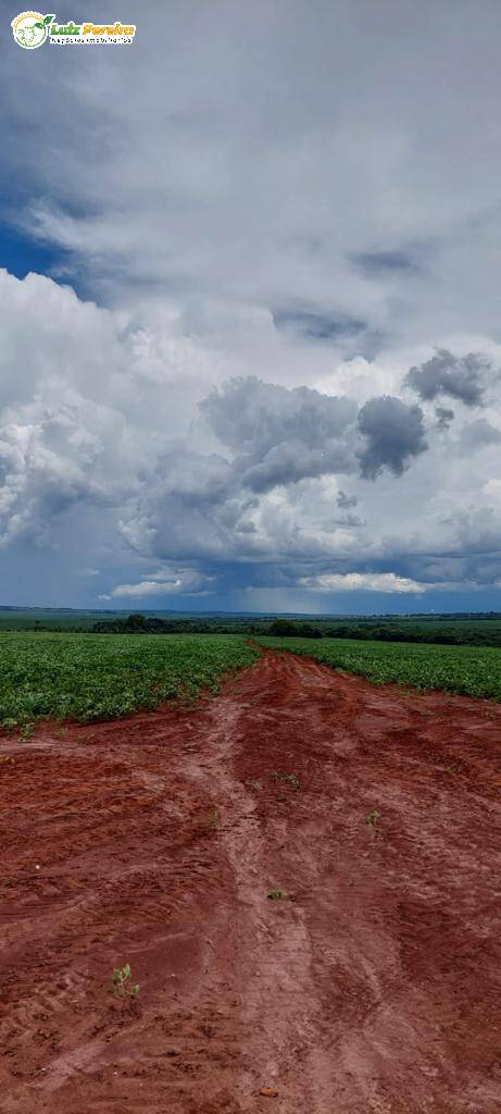 Fazenda à venda, 6000000m² - Foto 20