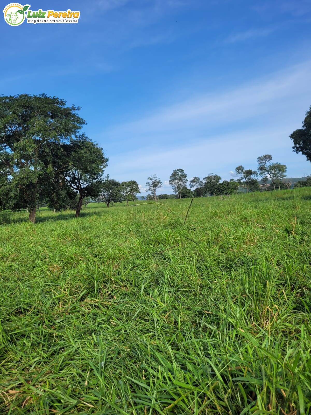 Fazenda à venda, 2320000m² - Foto 12