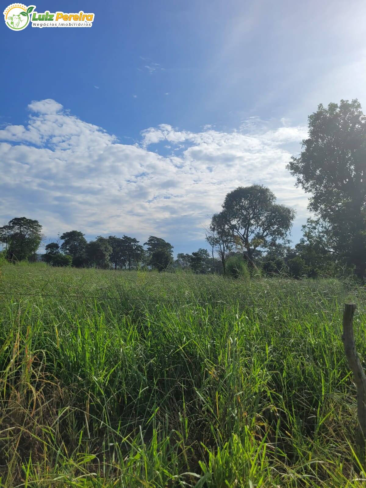 Fazenda à venda, 2320000m² - Foto 14