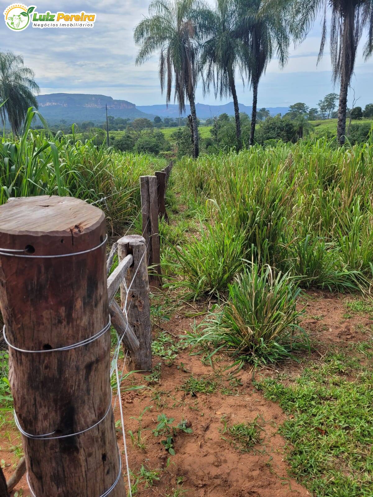 Fazenda à venda, 2320000m² - Foto 22