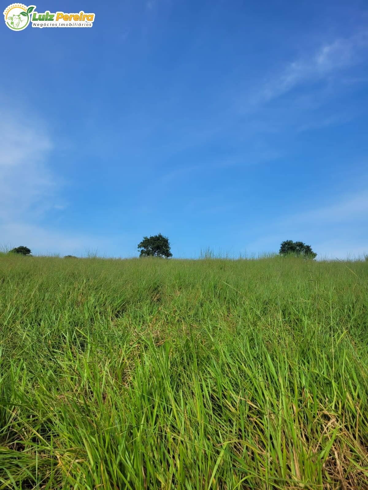 Fazenda à venda, 2320000m² - Foto 16