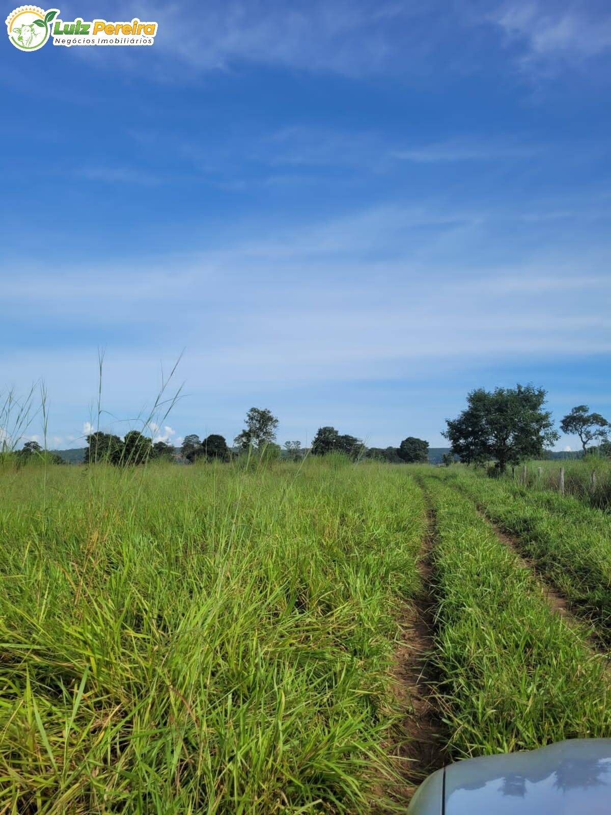 Fazenda à venda, 2320000m² - Foto 18