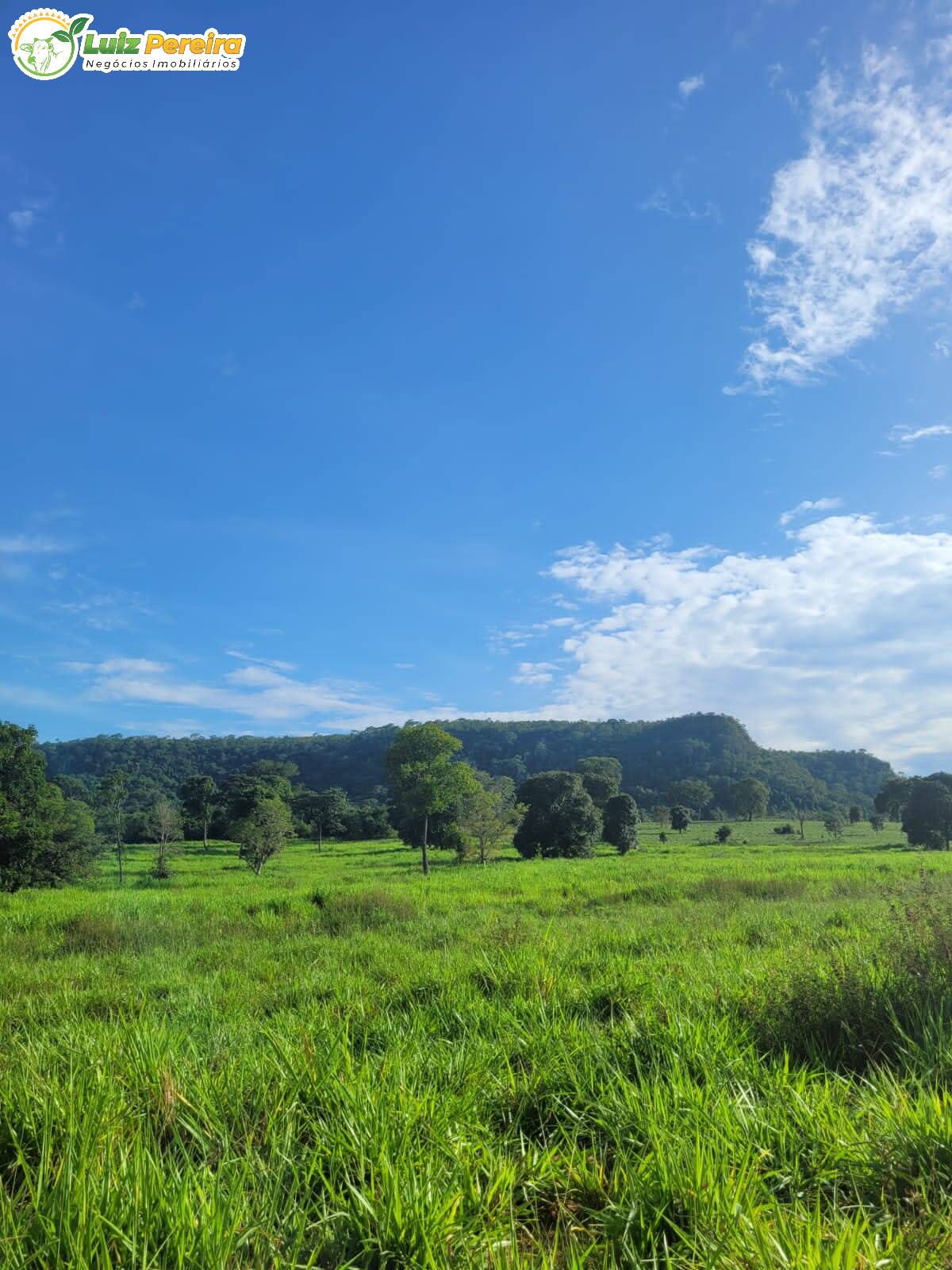 Fazenda à venda, 2320000m² - Foto 19