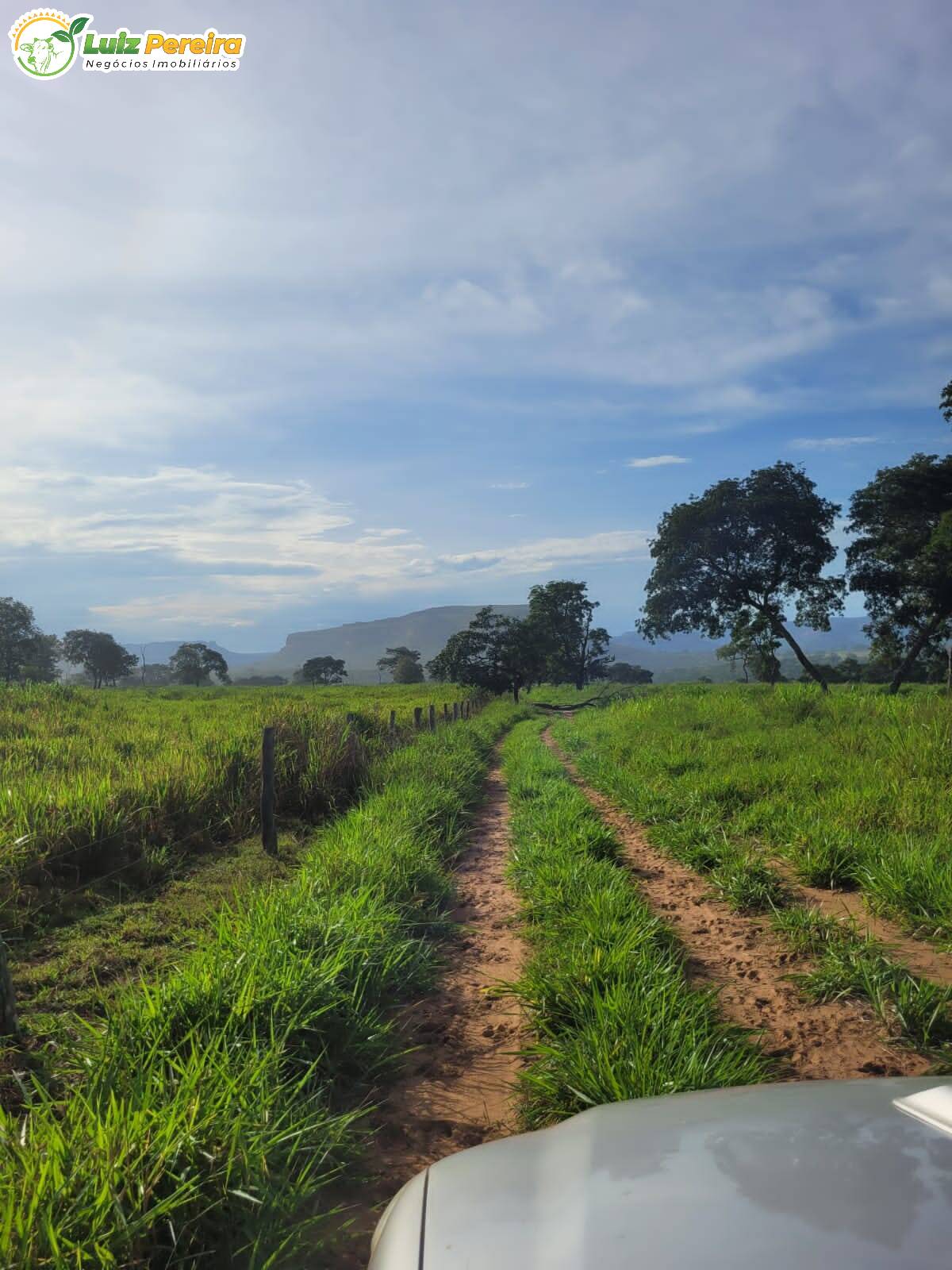 Fazenda à venda, 2320000m² - Foto 20