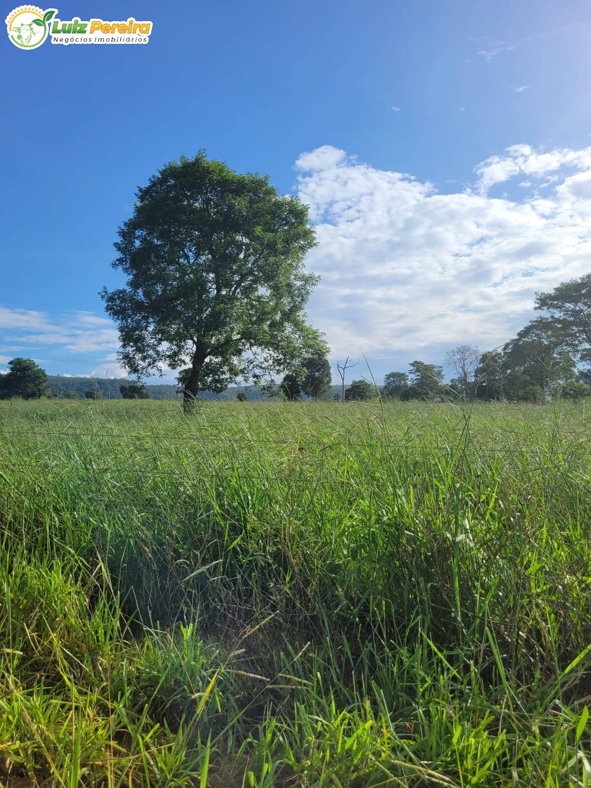 Fazenda à venda, 2320000m² - Foto 5