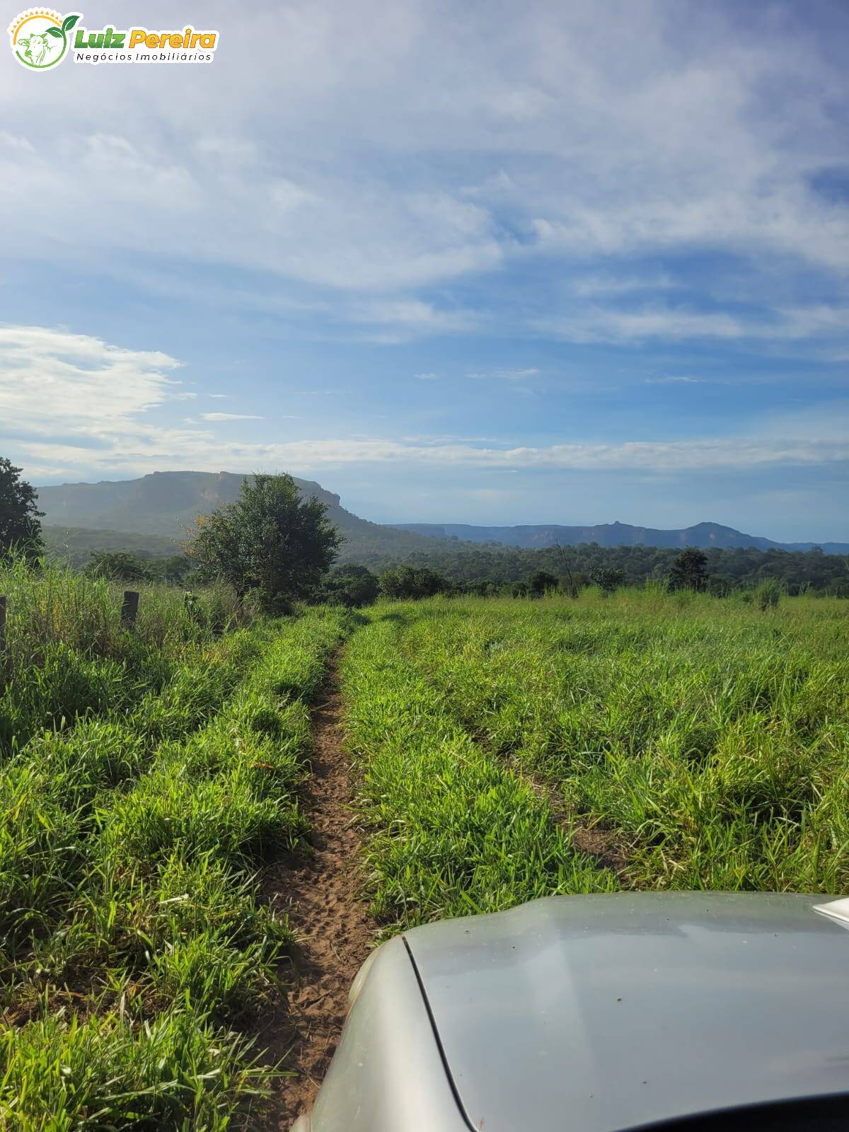 Fazenda à venda, 2320000m² - Foto 6