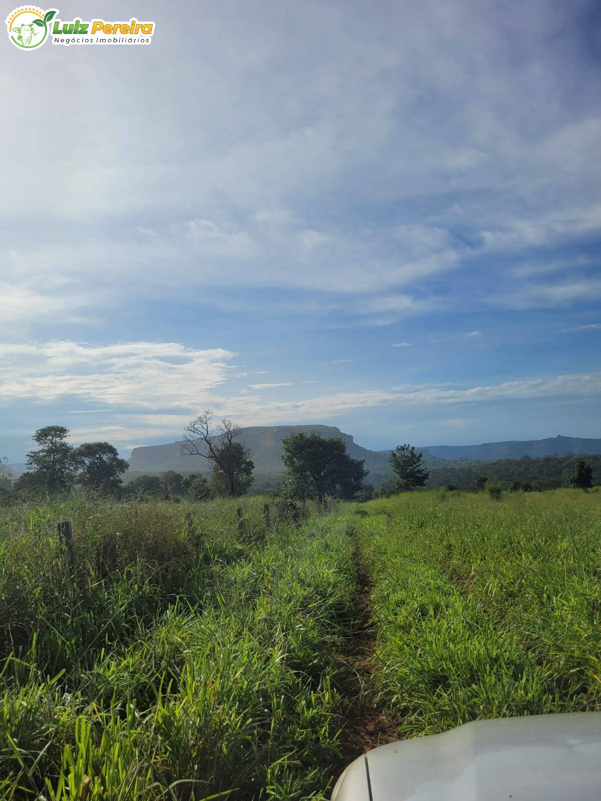 Fazenda à venda, 2320000m² - Foto 10