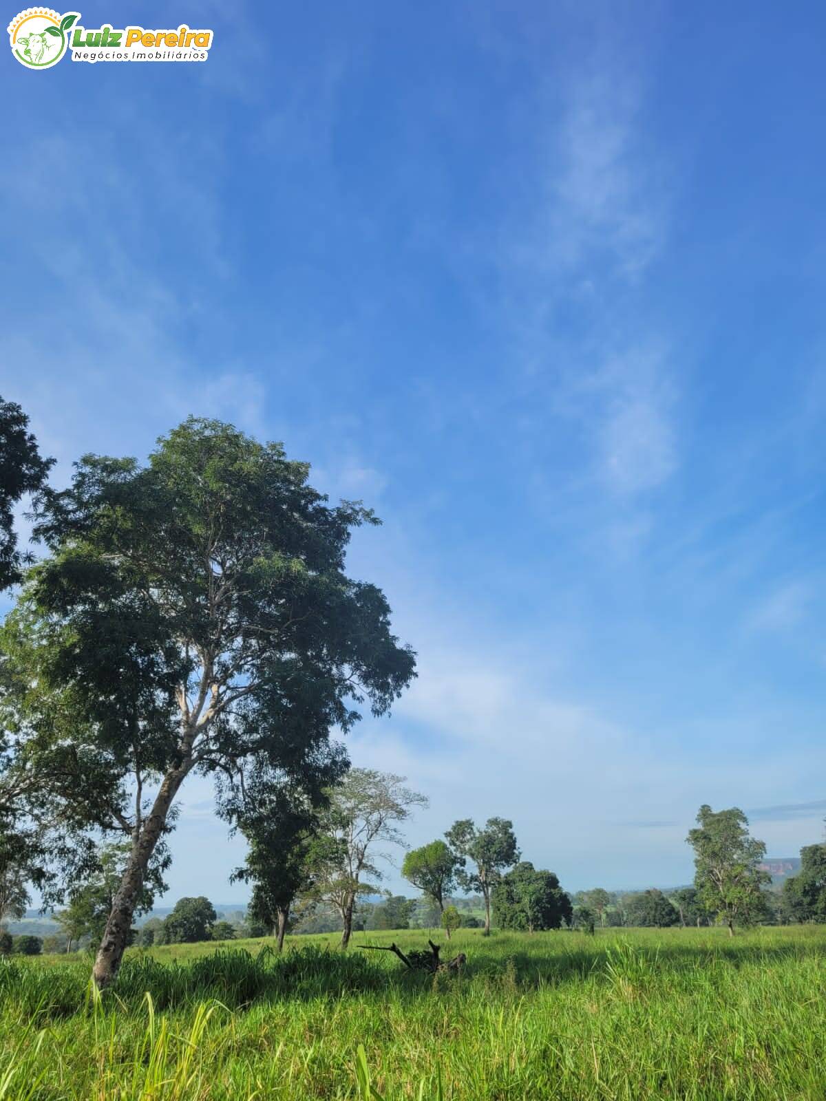 Fazenda à venda, 2320000m² - Foto 7