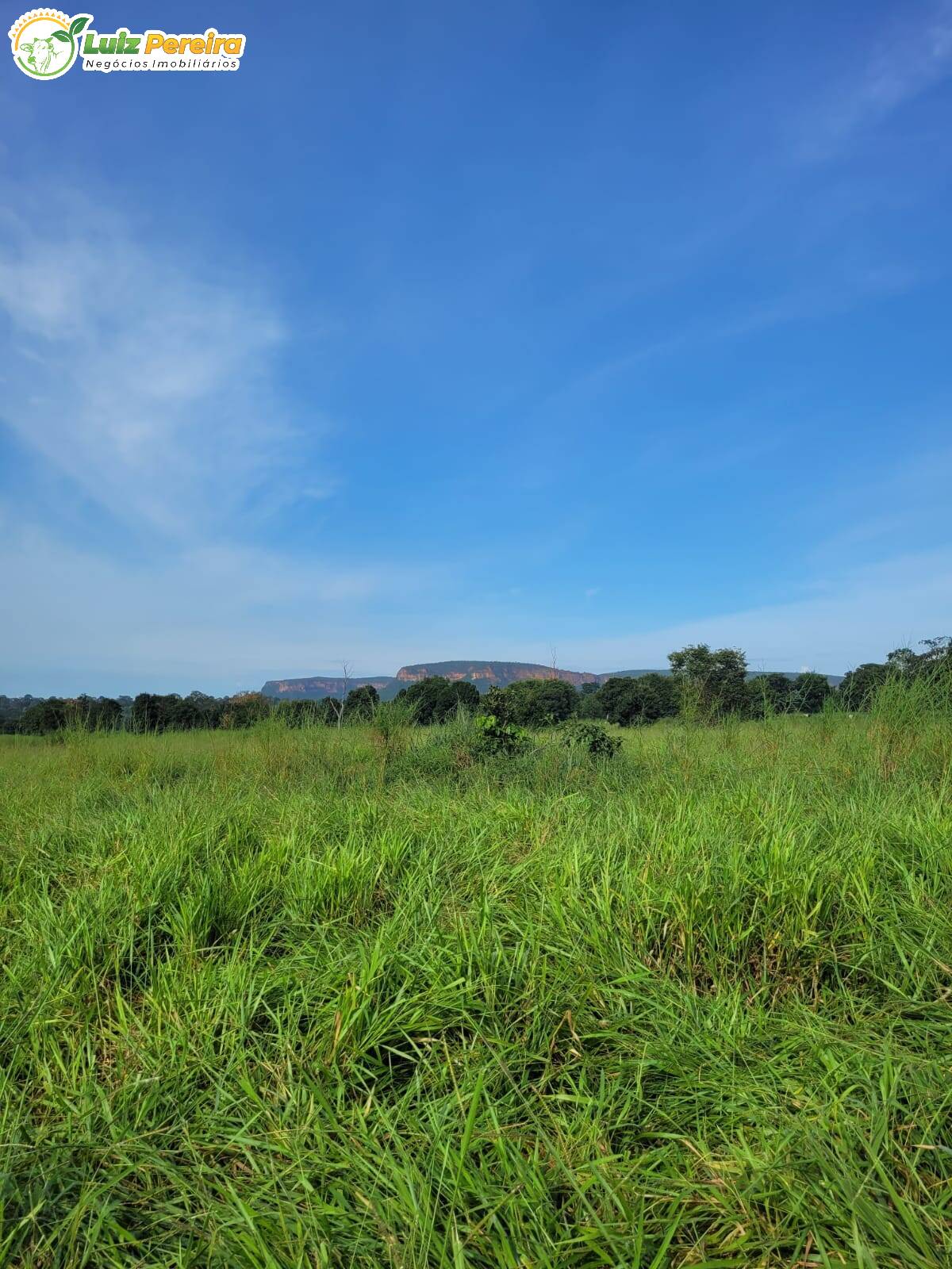 Fazenda à venda, 2320000m² - Foto 9