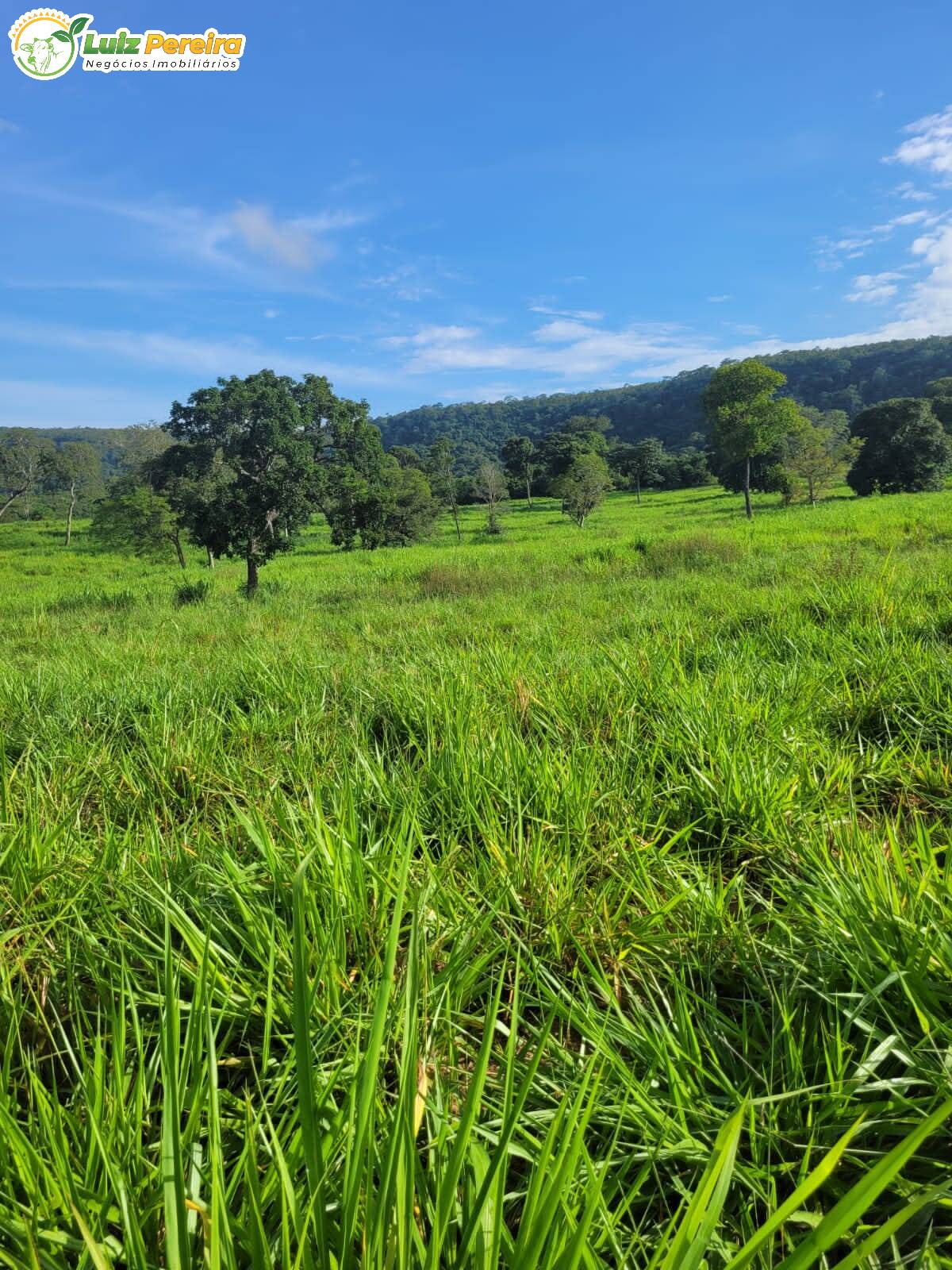 Fazenda à venda, 2320000m² - Foto 8