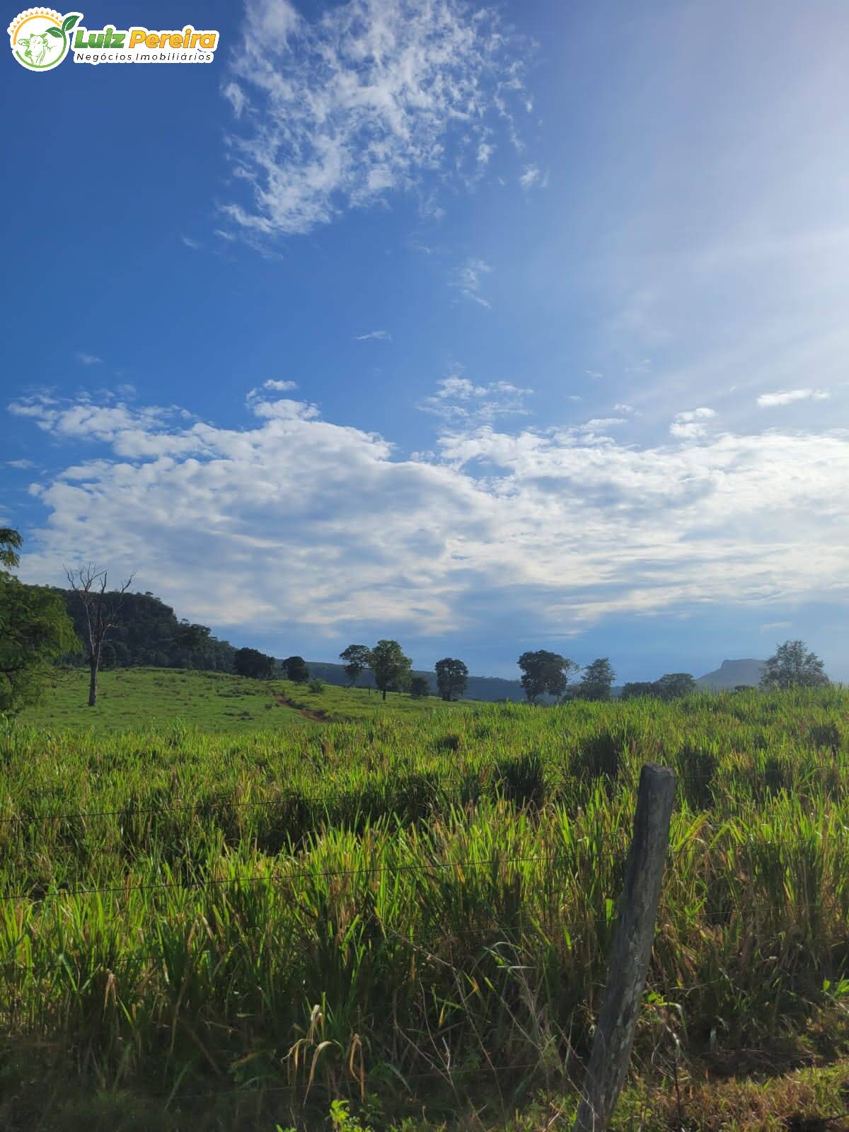 Fazenda à venda, 2320000m² - Foto 11