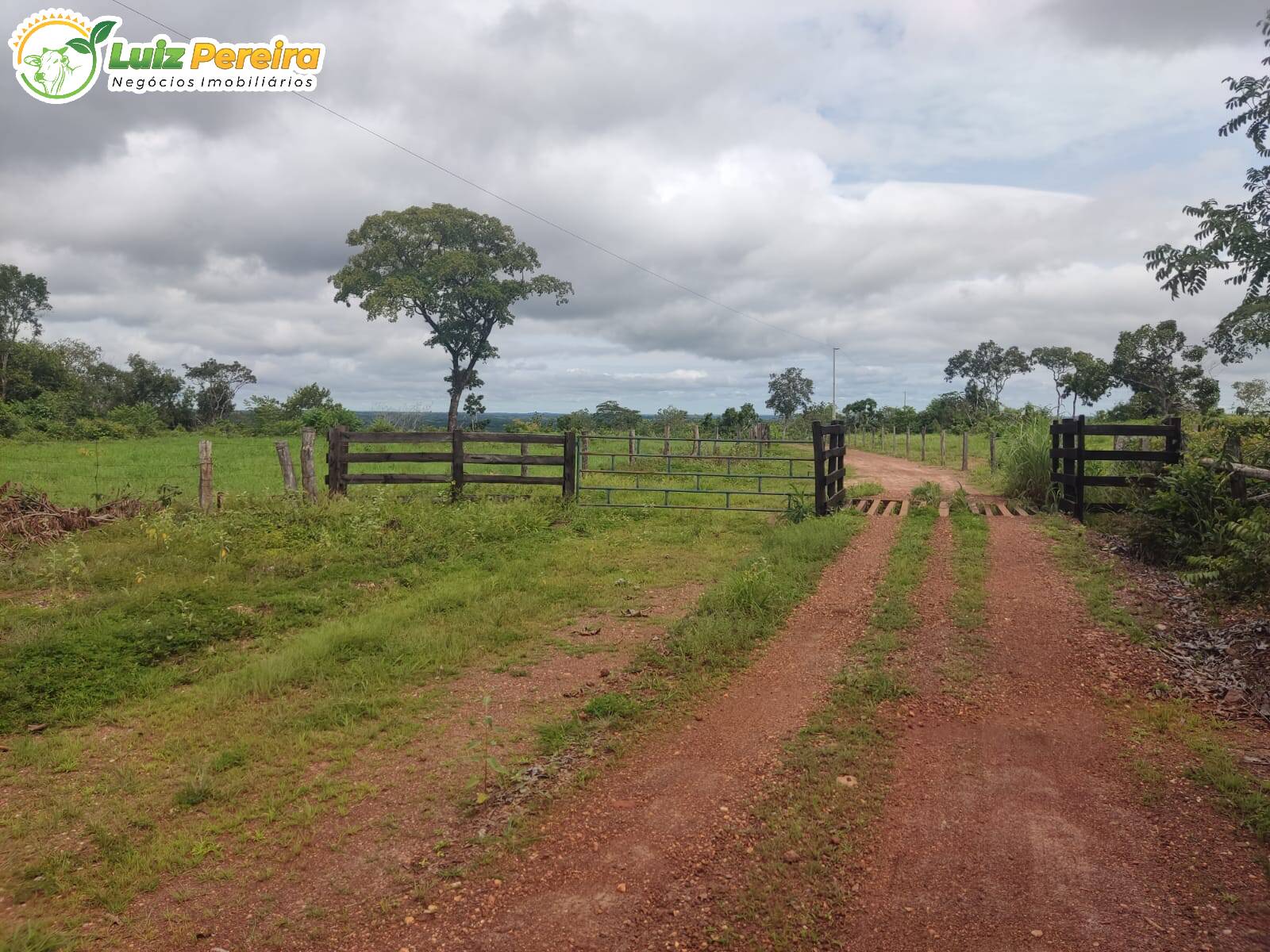 Fazenda à venda, 8650000m² - Foto 14