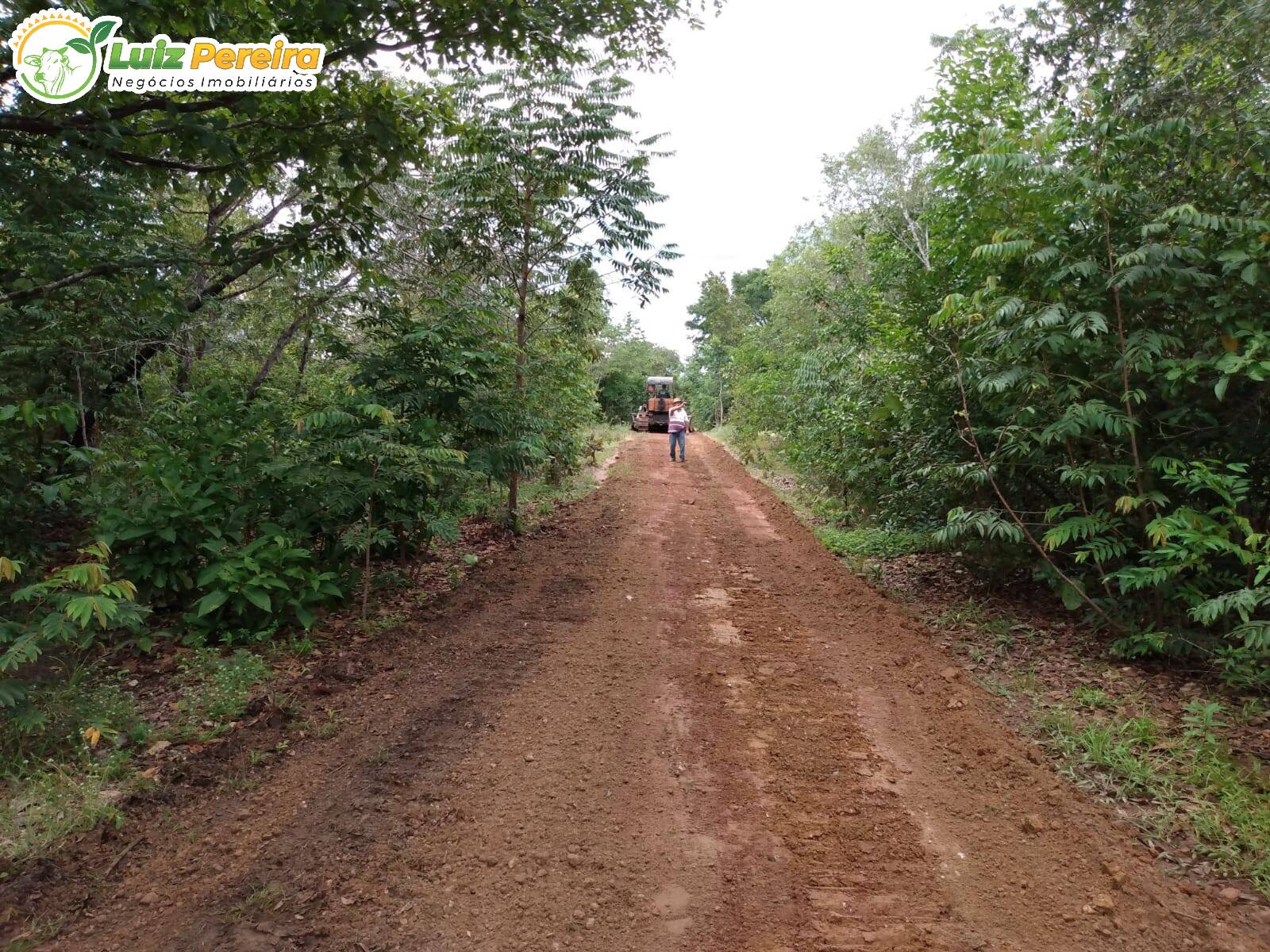 Fazenda à venda, 8650000m² - Foto 13