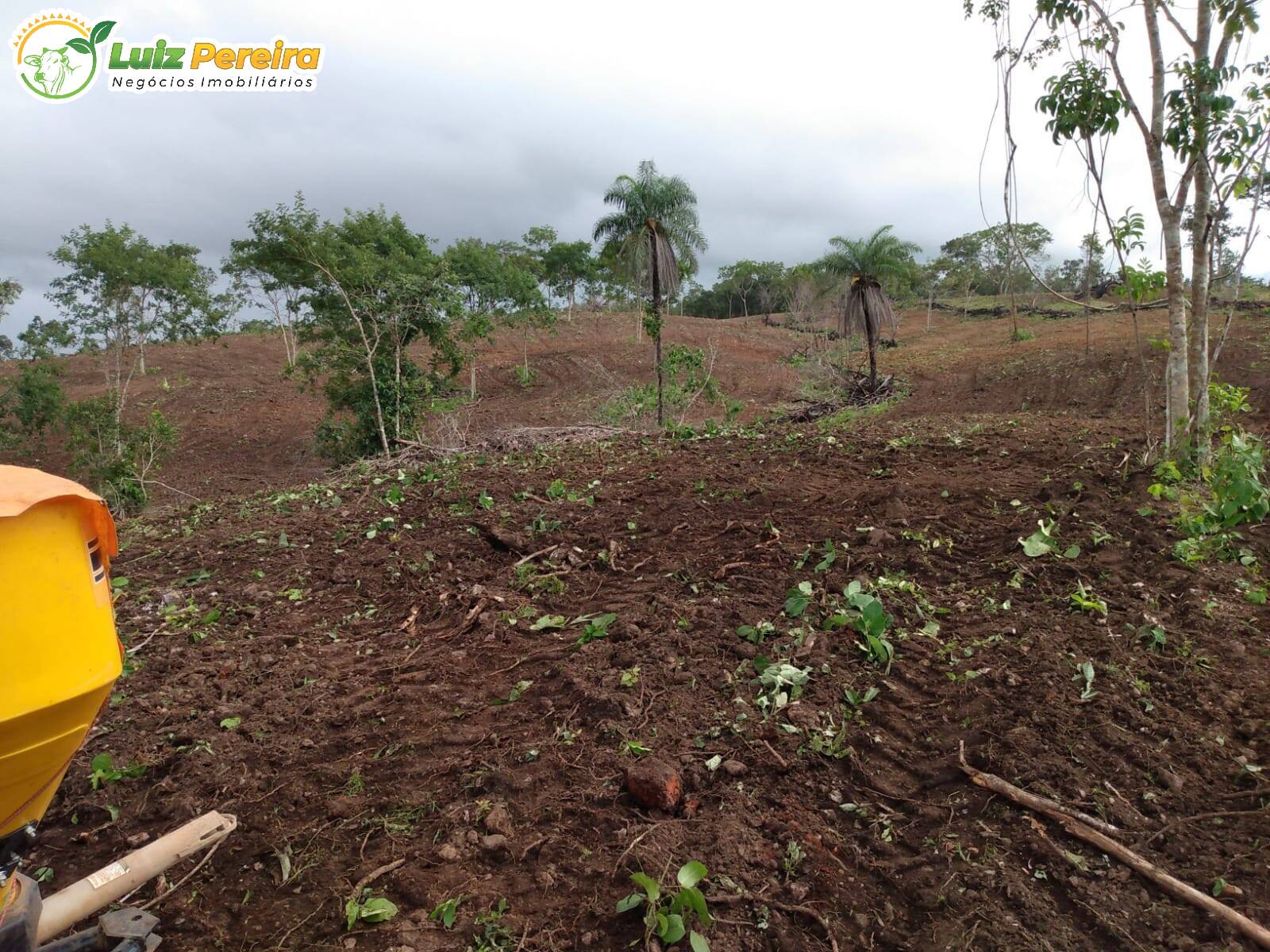 Fazenda à venda, 8650000m² - Foto 10