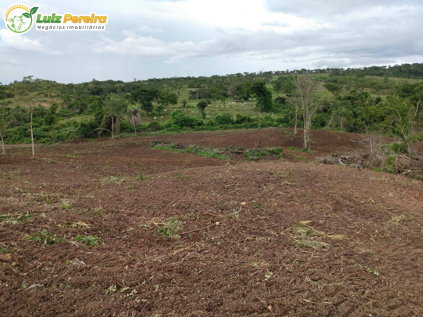 Fazenda à venda, 8650000m² - Foto 11