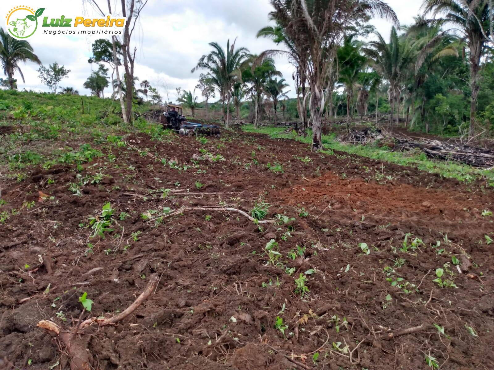 Fazenda à venda, 8650000m² - Foto 12