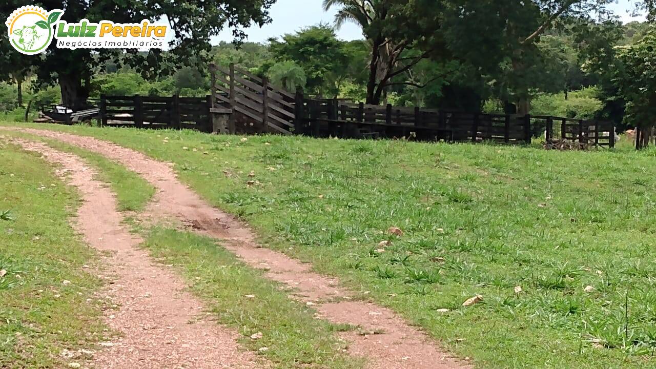 Fazenda à venda, 8650000m² - Foto 23