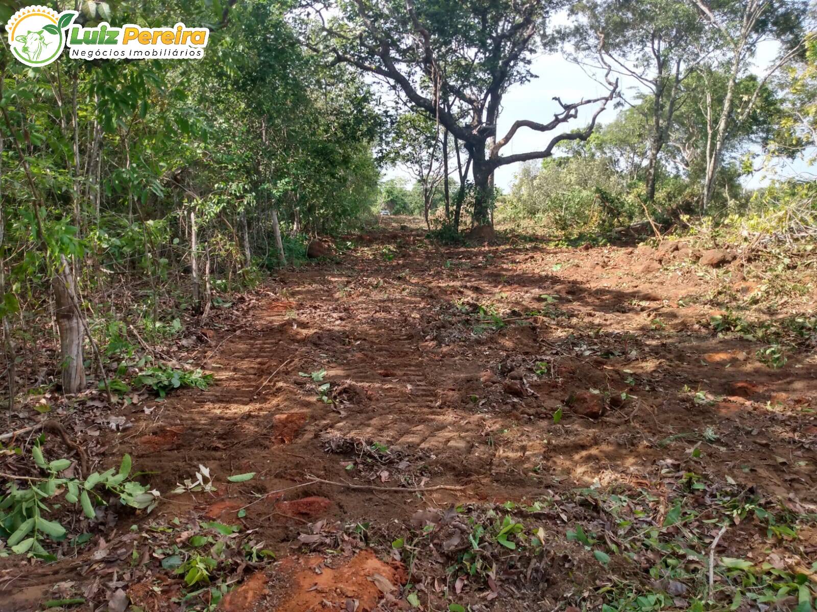 Fazenda à venda, 8650000m² - Foto 20