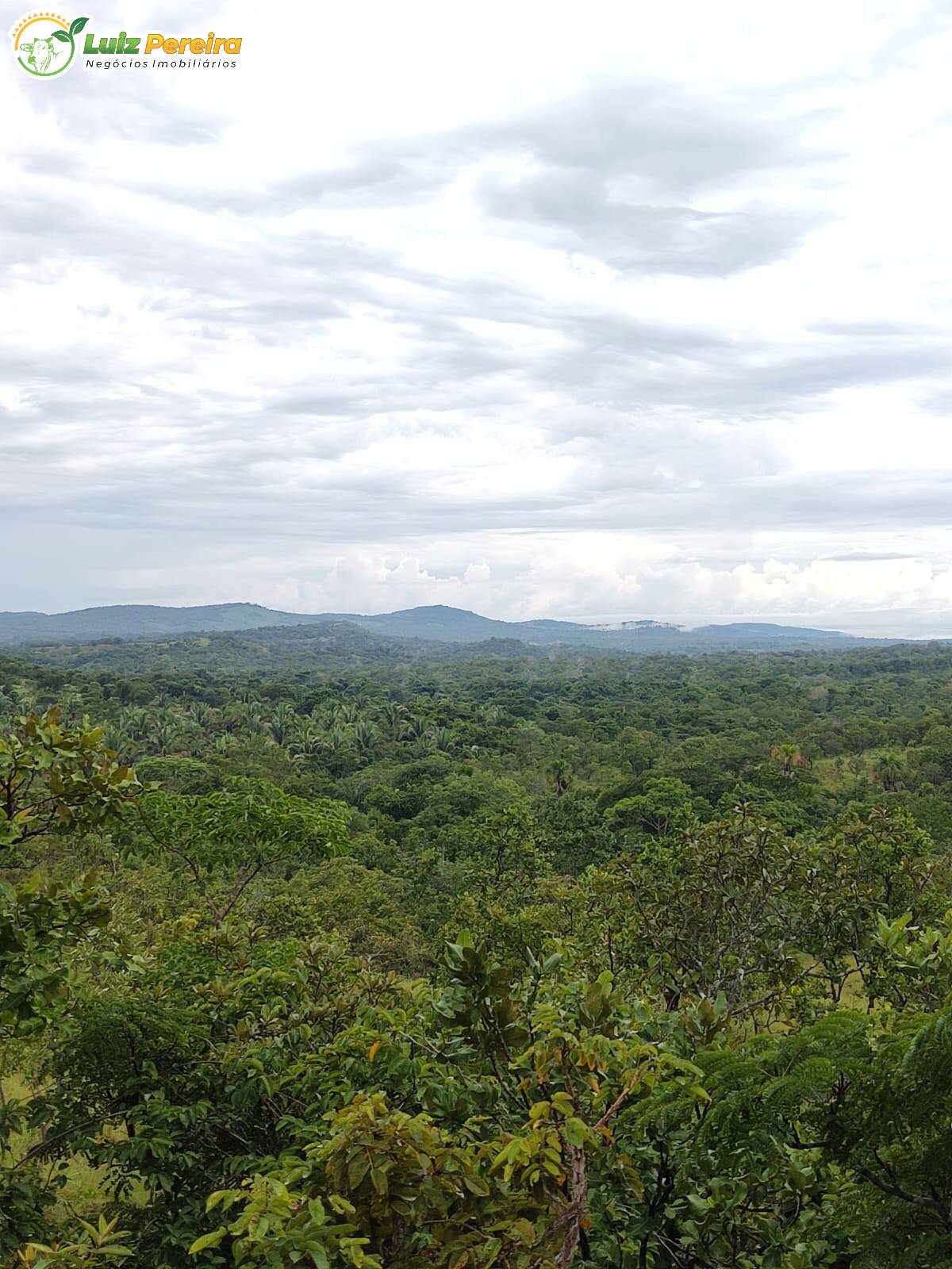 Fazenda à venda, 8650000m² - Foto 5