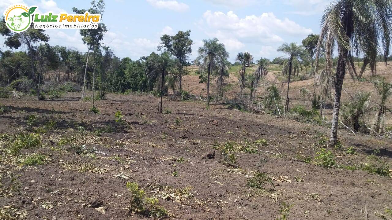 Fazenda à venda, 8650000m² - Foto 19