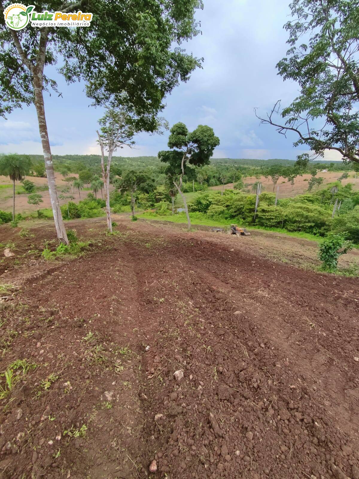 Fazenda à venda, 8650000m² - Foto 17