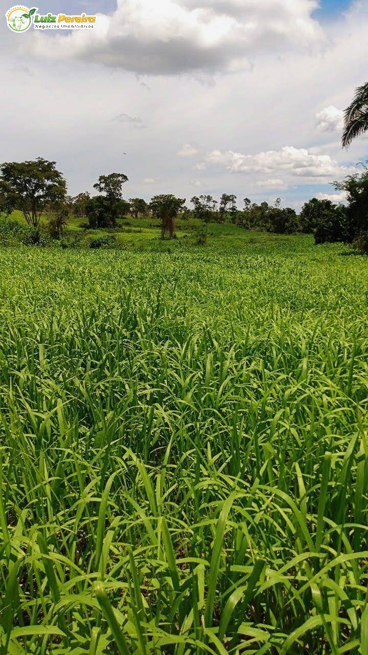 Fazenda à venda, 8650000m² - Foto 7