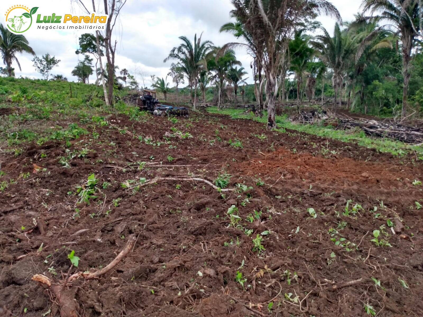 Fazenda à venda, 8650000m² - Foto 18