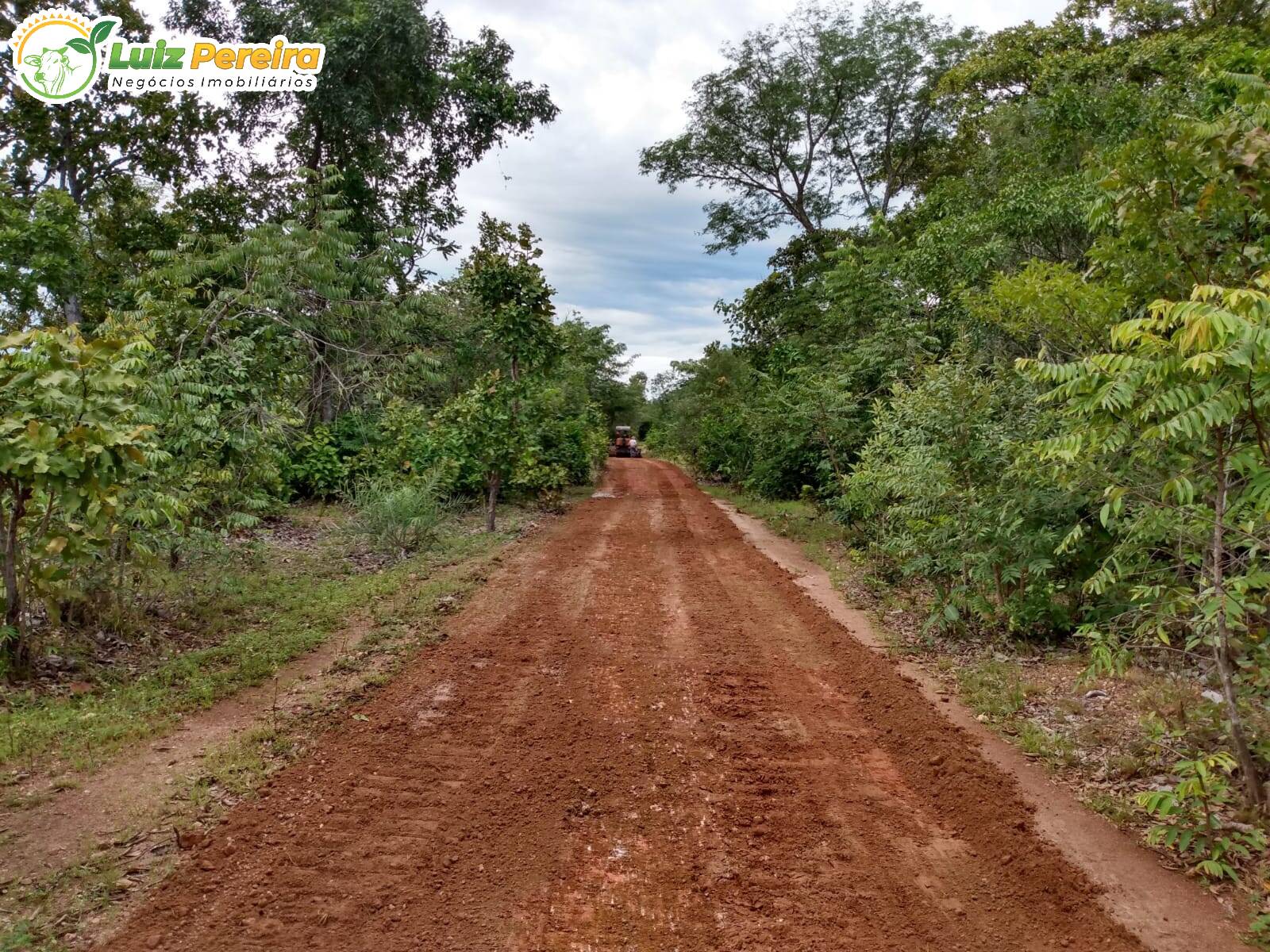 Fazenda à venda, 8650000m² - Foto 15