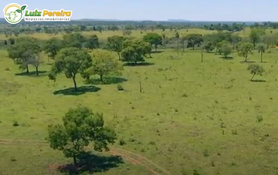 Fazenda à venda, 2660000m² - Foto 6