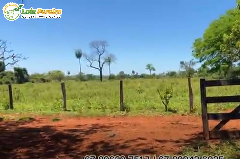 Fazenda à venda, 2660000m² - Foto 13