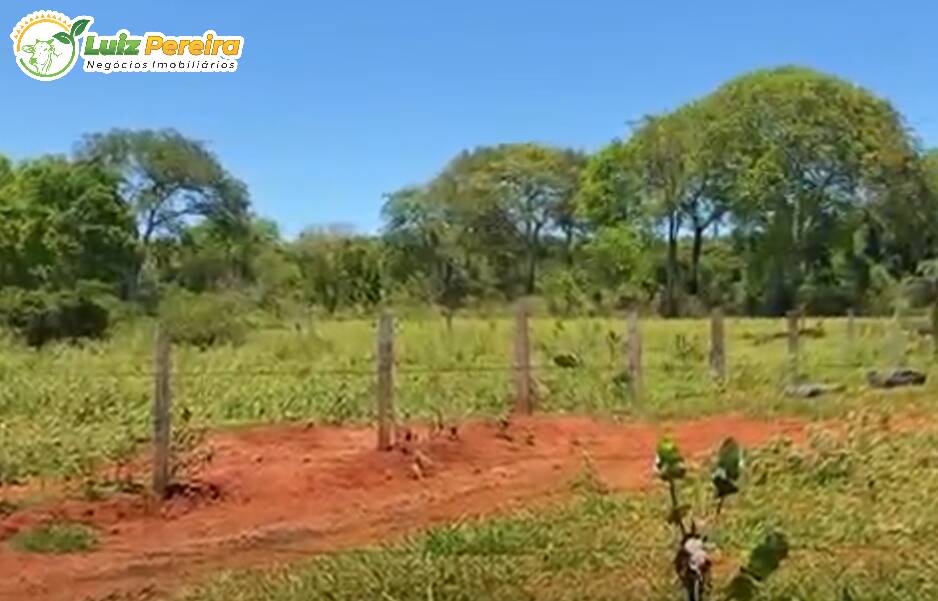 Fazenda à venda, 2660000m² - Foto 12