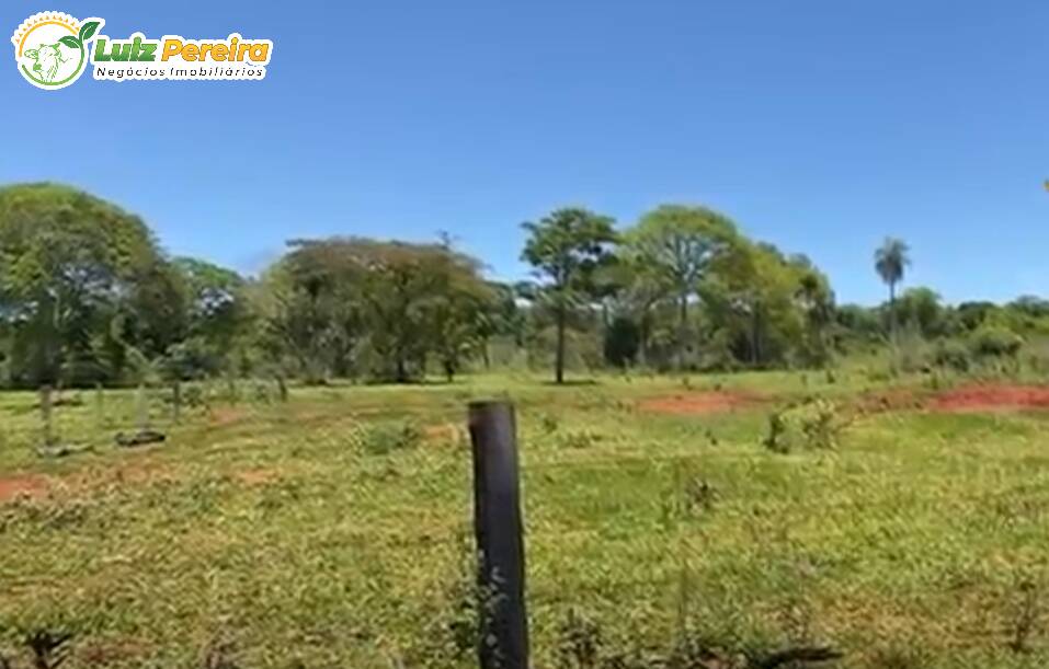 Fazenda à venda, 2660000m² - Foto 10