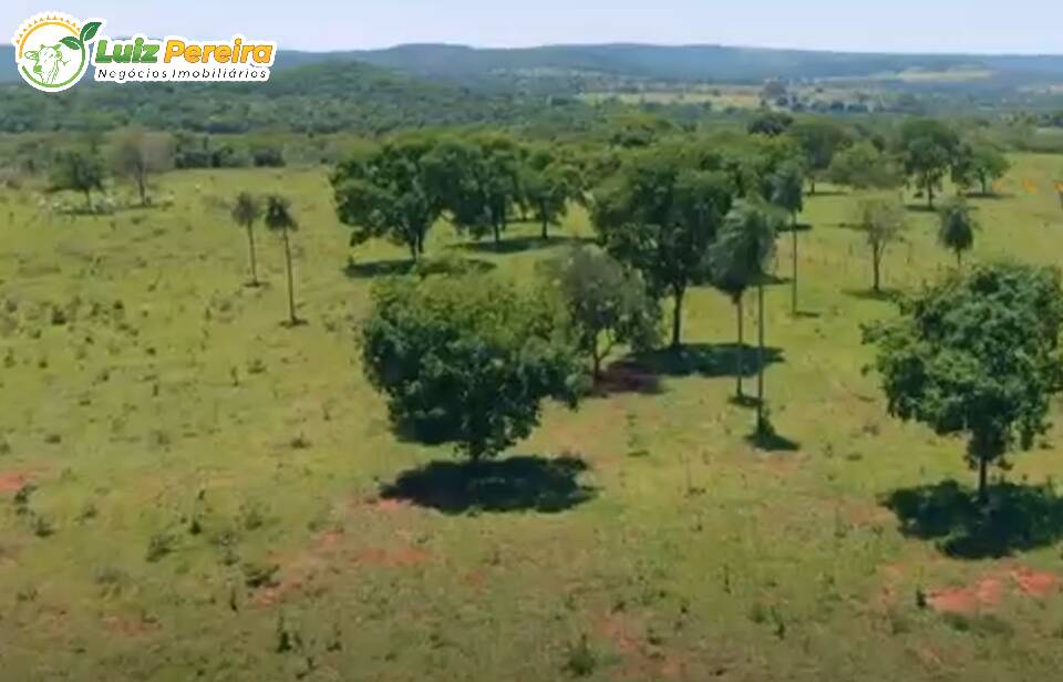 Fazenda à venda, 2660000m² - Foto 5