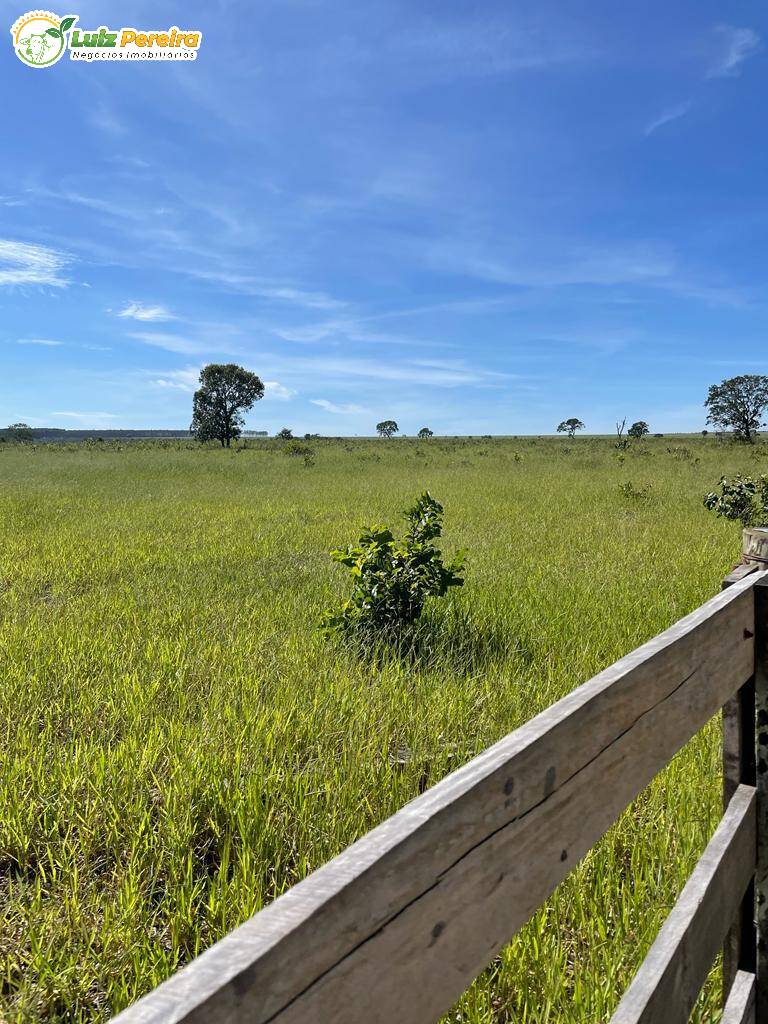 Fazenda à venda, 1280m² - Foto 5