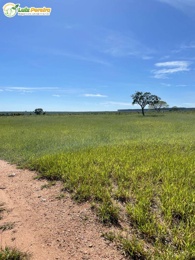 Fazenda à venda, 1280m² - Foto 7