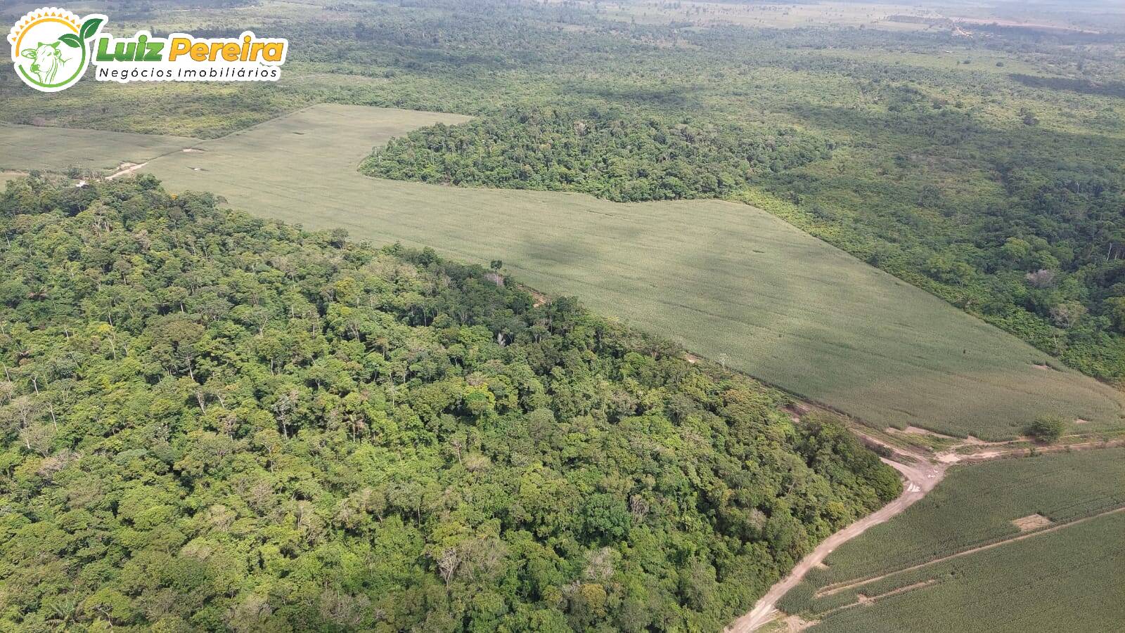 Fazenda à venda, 10160000m² - Foto 2