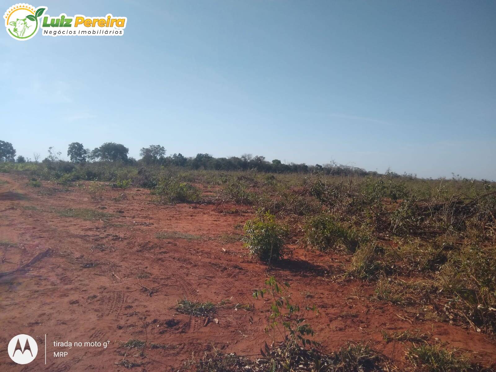 Fazenda à venda, 2000000m² - Foto 3