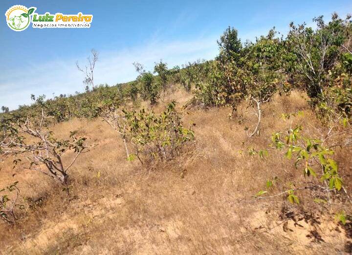 Fazenda à venda, 170000000m² - Foto 18