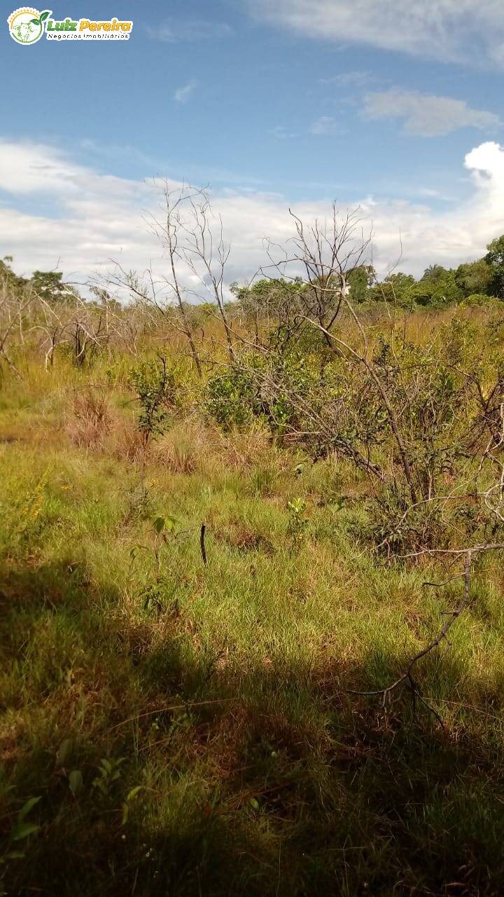 Fazenda à venda, 170000000m² - Foto 14