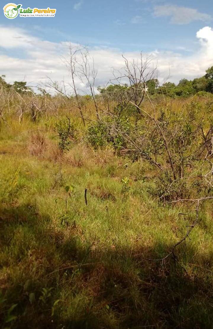 Fazenda à venda, 170000000m² - Foto 13