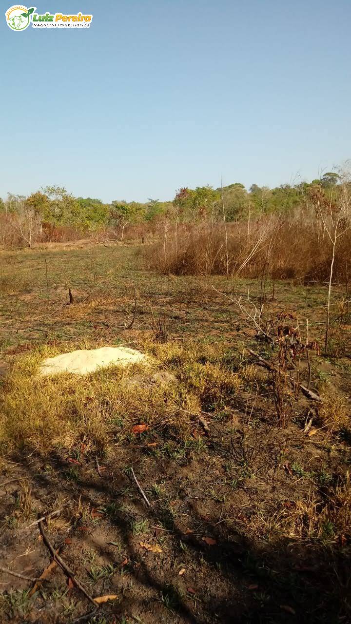 Fazenda à venda, 170000000m² - Foto 17