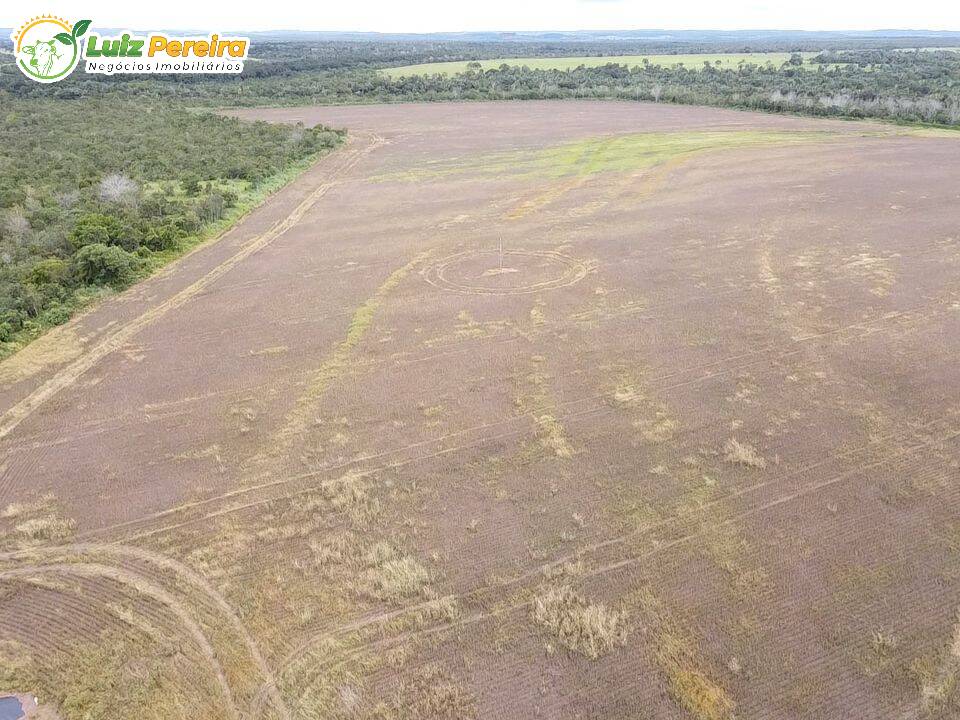 Fazenda à venda, 8034400m² - Foto 9