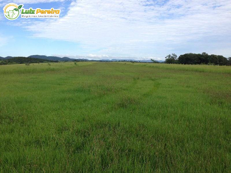 Fazenda à venda, 4900m² - Foto 8