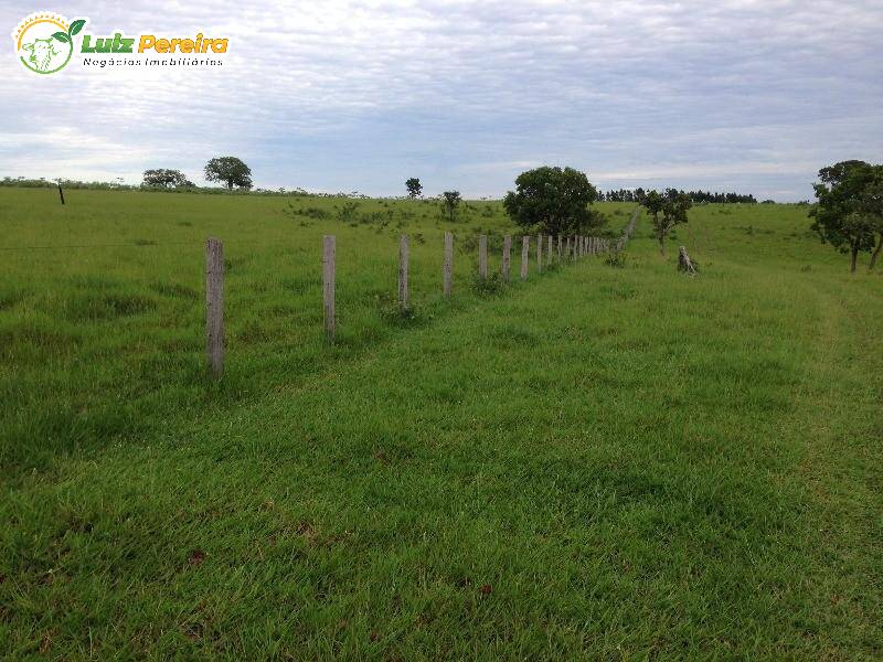 Fazenda à venda, 4900m² - Foto 7