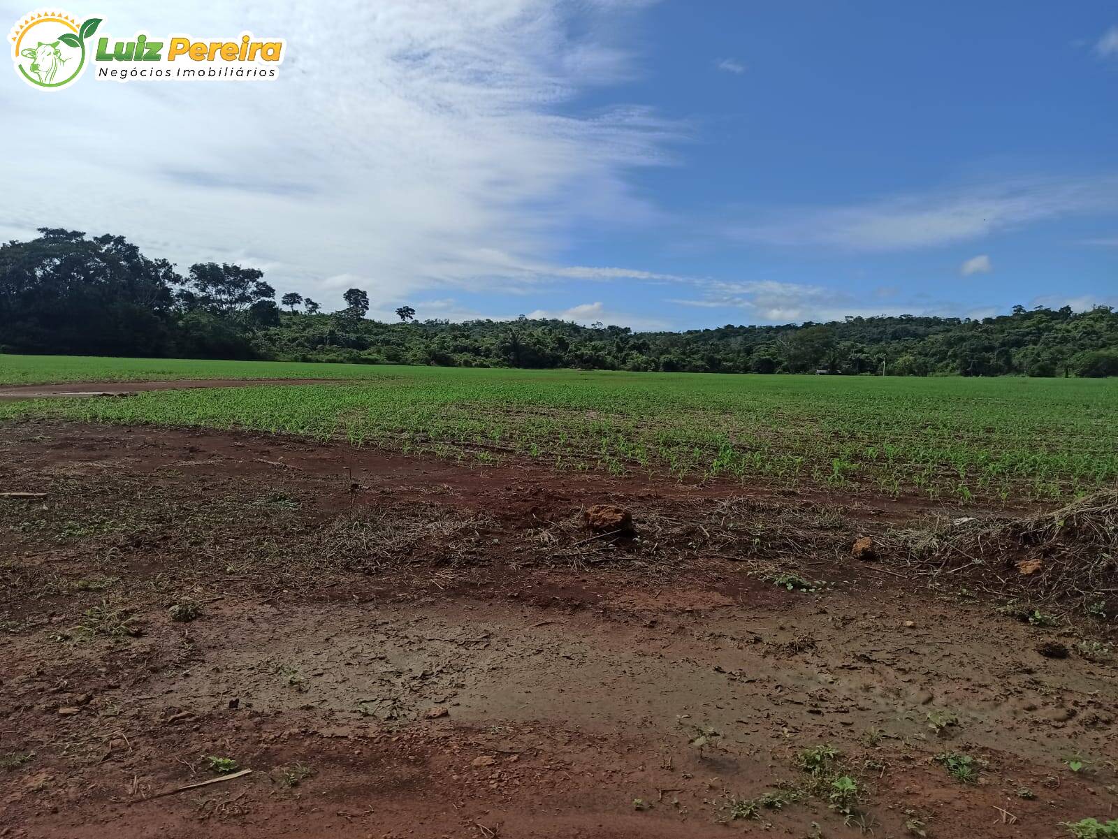 Fazenda à venda, 36500000m² - Foto 7