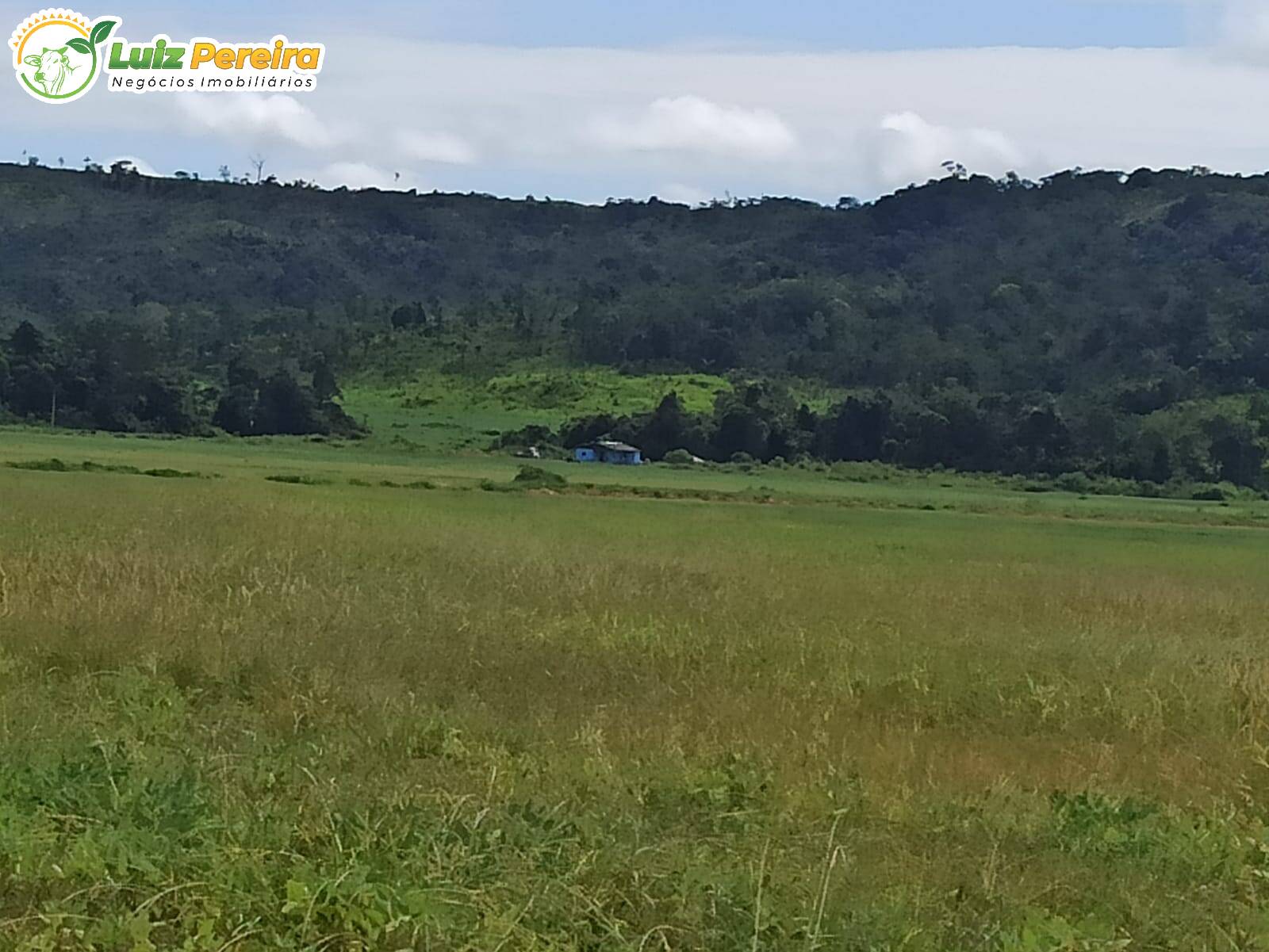 Fazenda à venda, 36500000m² - Foto 6