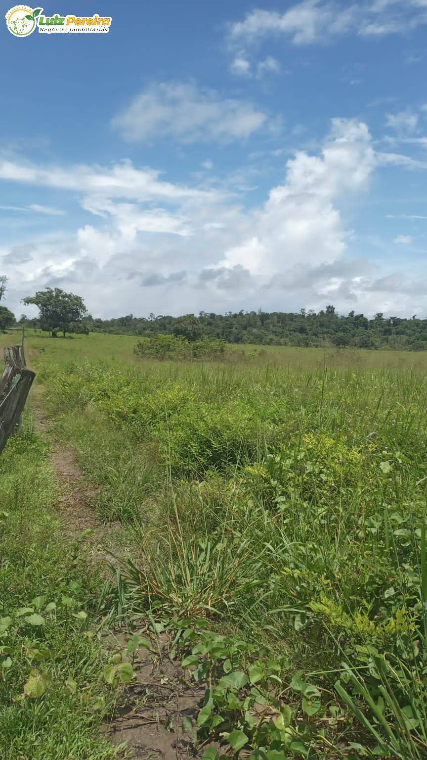 Terreno à venda, 7744000m² - Foto 2